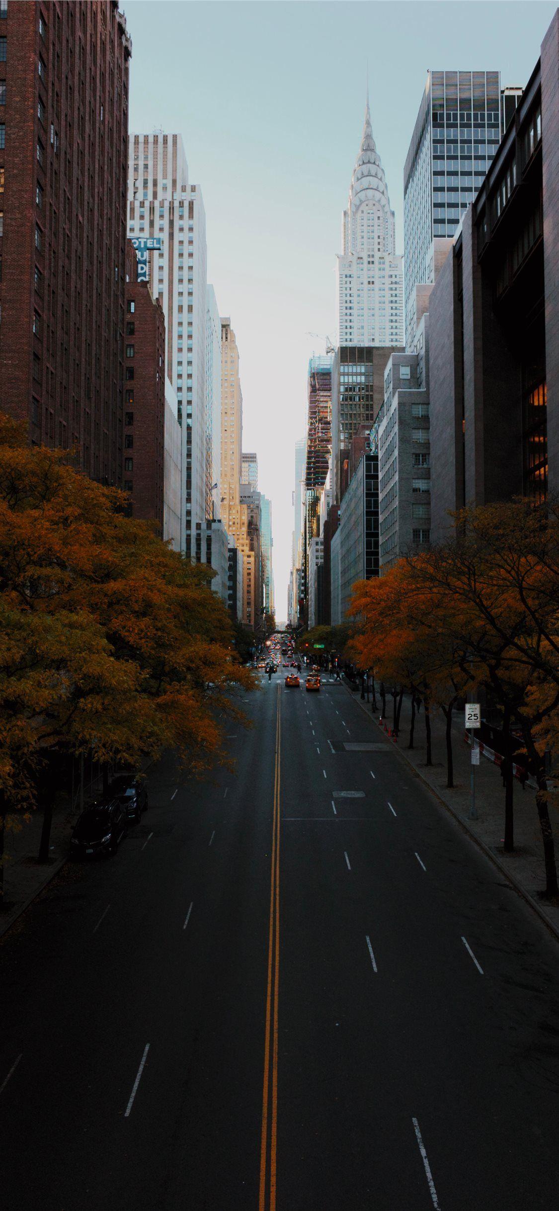 1125x2436 Best fall iPhone 11 Wallpaper HD