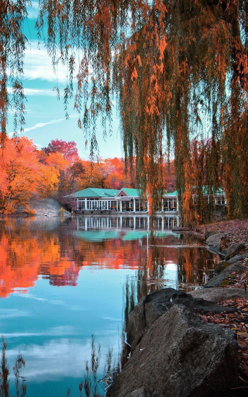 800x1280 Download Wallpaper 800x1280 Central Park, New York, Autumn, Beautiful Landscape Samsung Galaxy Note Gt N Meizu Mx2 HD Background