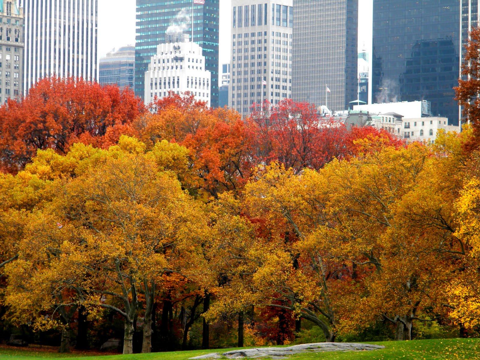 1600x1200 Free download Clip Art Photo and Image Autumn Colors and New York City Skyline [1600x1200] for your Desktop, Mobile & Tablet. Explore NYC Fall Wallpaper. New York Wallpaper for