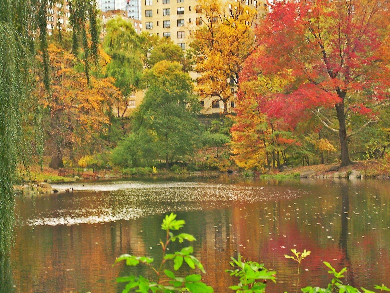 1600x1200 Autumn in New York: Still So Inviting. Tracy Kaler's New York Life + Travel Blog