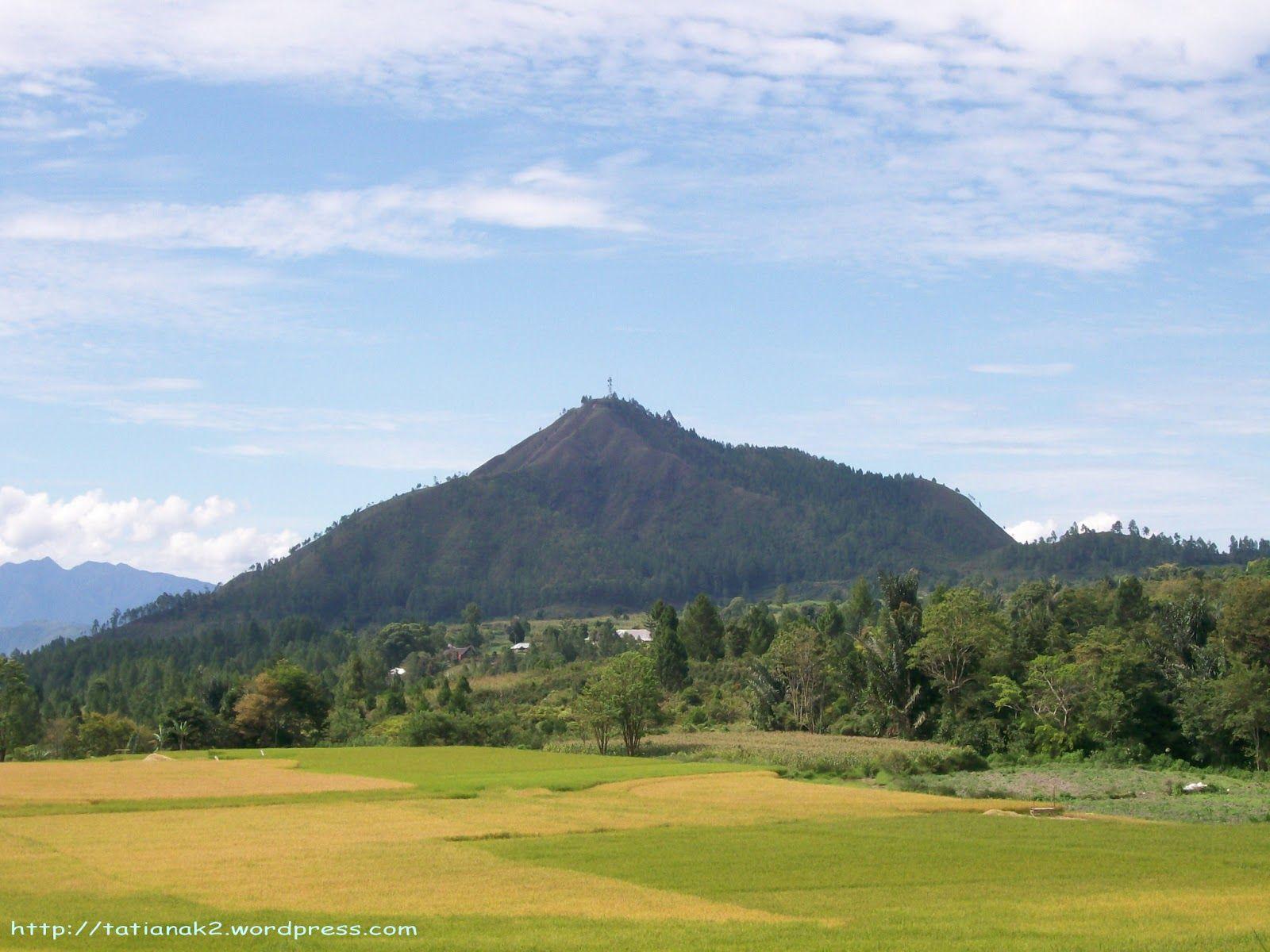 1600x1200 Wallpaper Pemandangan Alam Dan Pedesaan Alam Sawah Pegunungan Wallpaper & Background Download