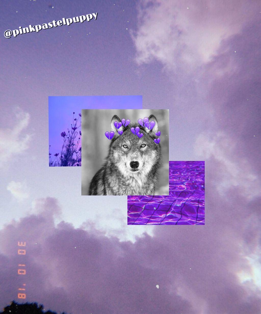 Wolf Aesthetic Wallpapers Top Free Wolf Aesthetic Backgrounds