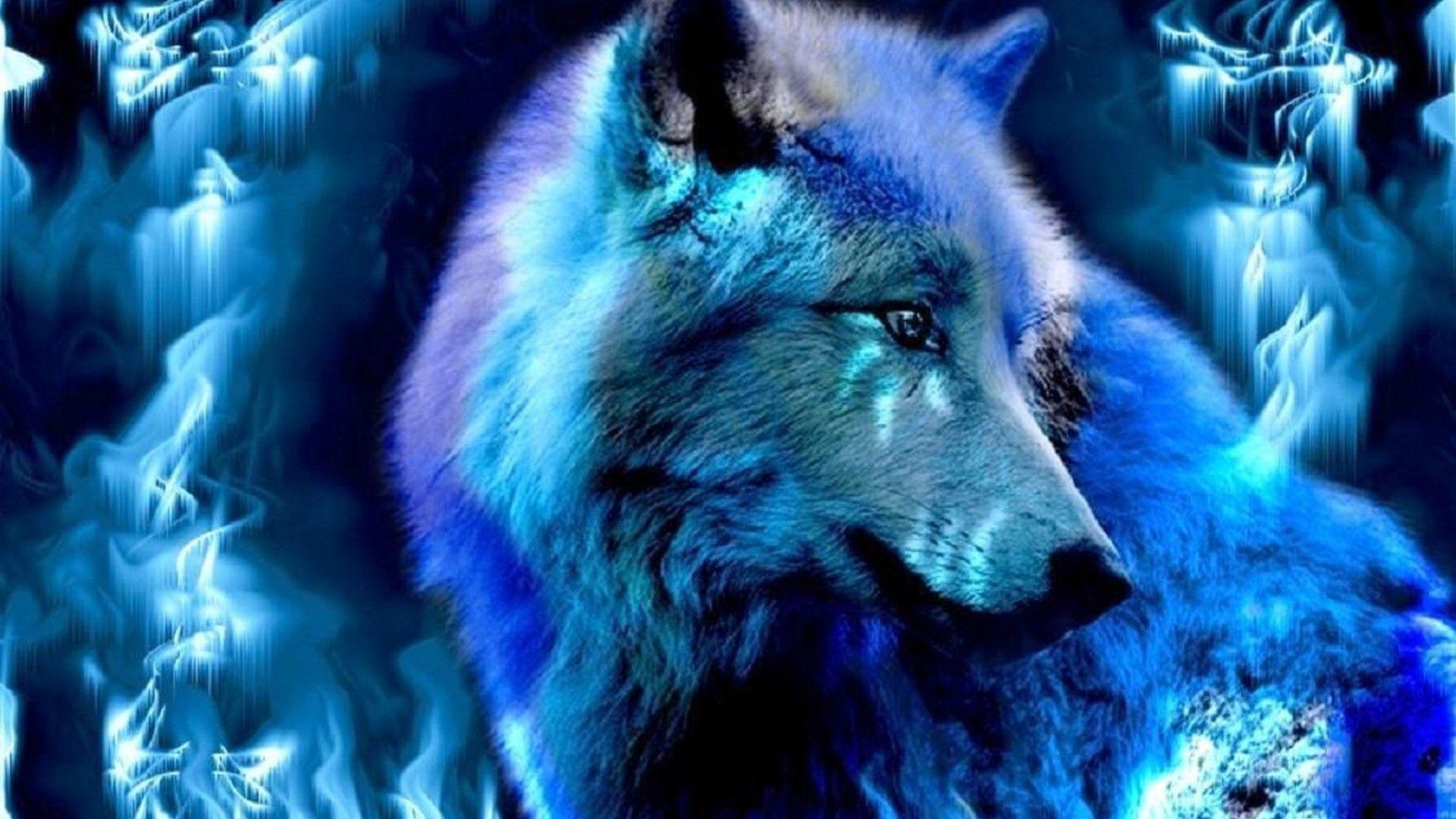 1920x1080 Cool Wolf Wallpaper For Desktop Cute Wallpaper