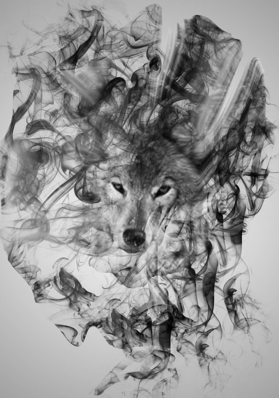 900x1280 Flowy Wolf Art wallpaper