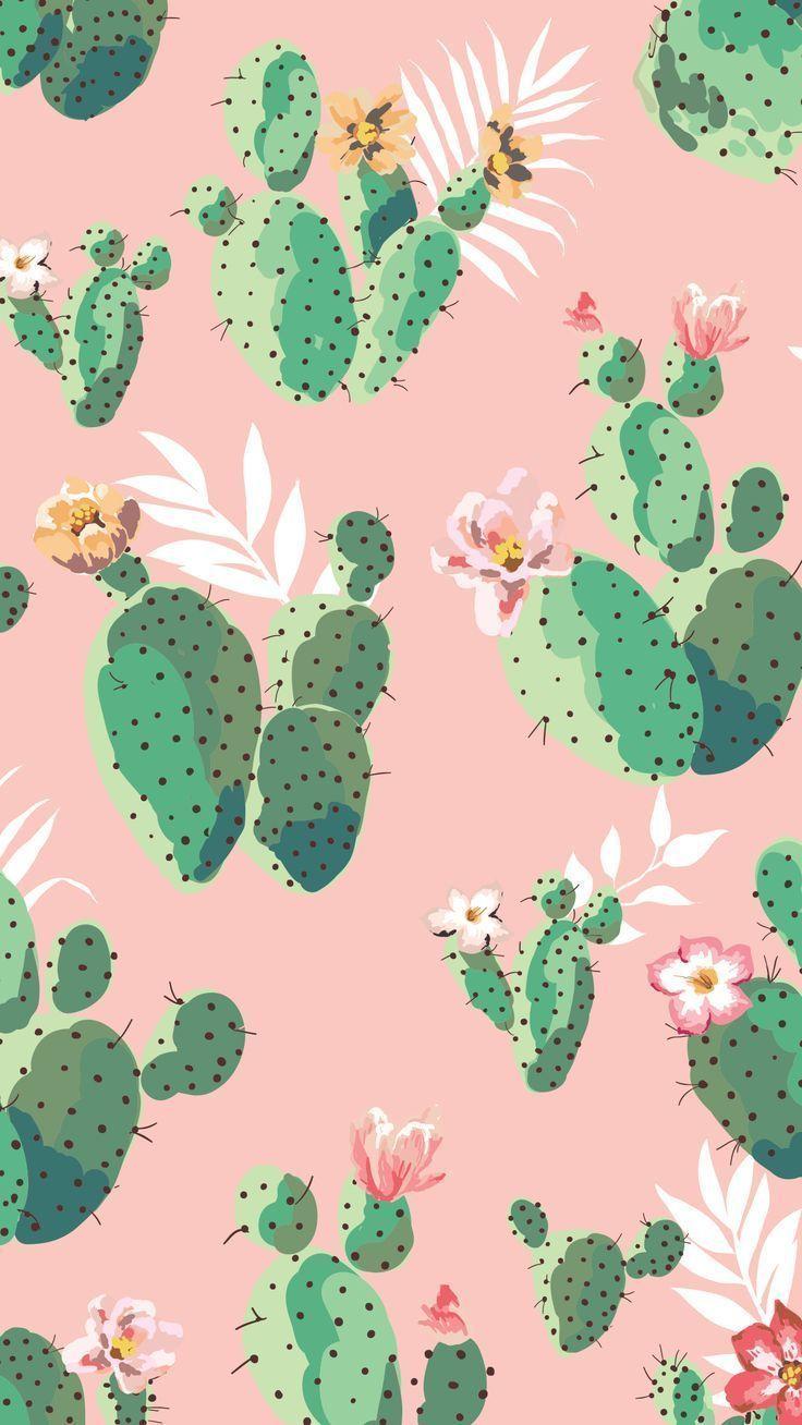 Tropical Floral Pink  Green Wallpaper  Walnutz ecommerce