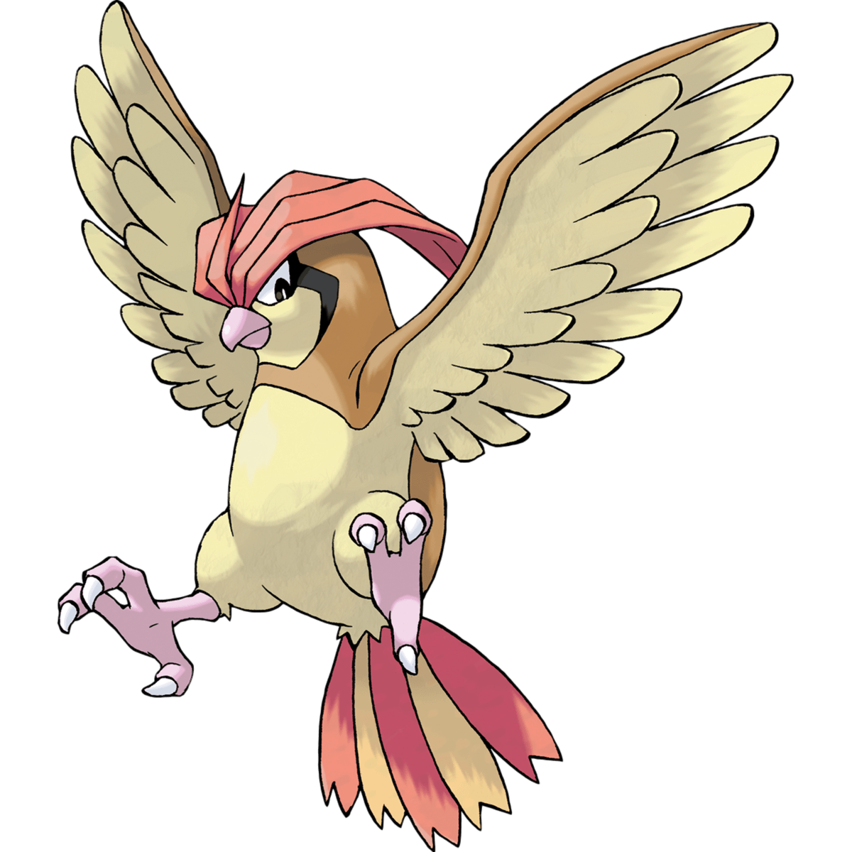 Pidgey Wallpapers - Top Free Pidgey Backgrounds - WallpaperAccess