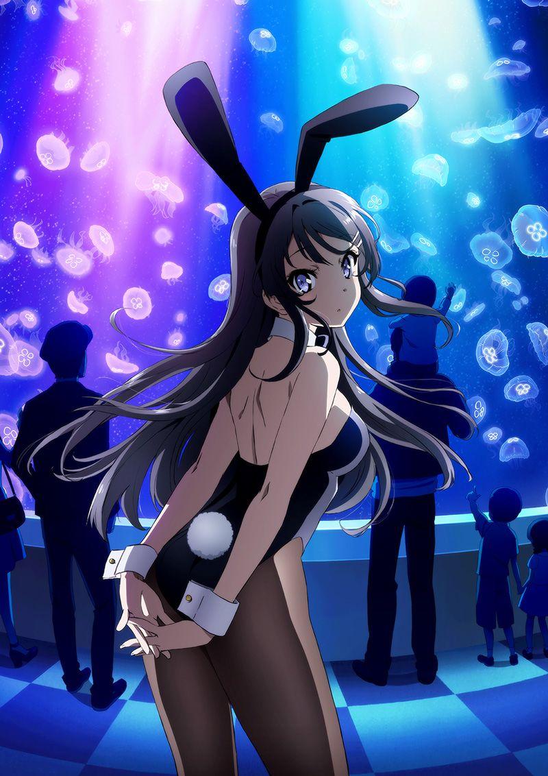 800x1132 Seishun Buta Yarou wa Bunny Girl Senpai no Yume wo Minai Anime Image Board