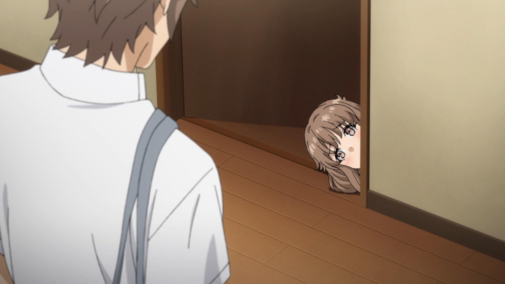 2048x1152 Seishun Buta Yarou wa Bunny Girl Senpai no Yume wo Minai