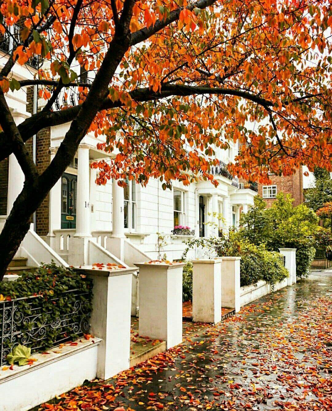 1080x1338 Notting Hill. House landscape, Autumn cozy, Exterior