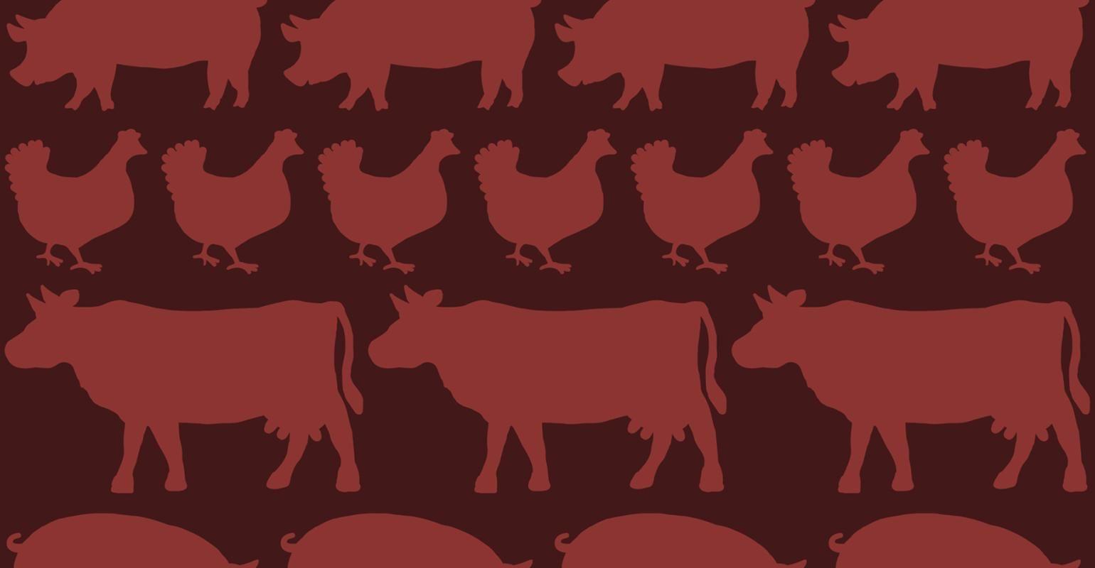1540x800 ISU Animal Industry Report available online. National Hog Farmer