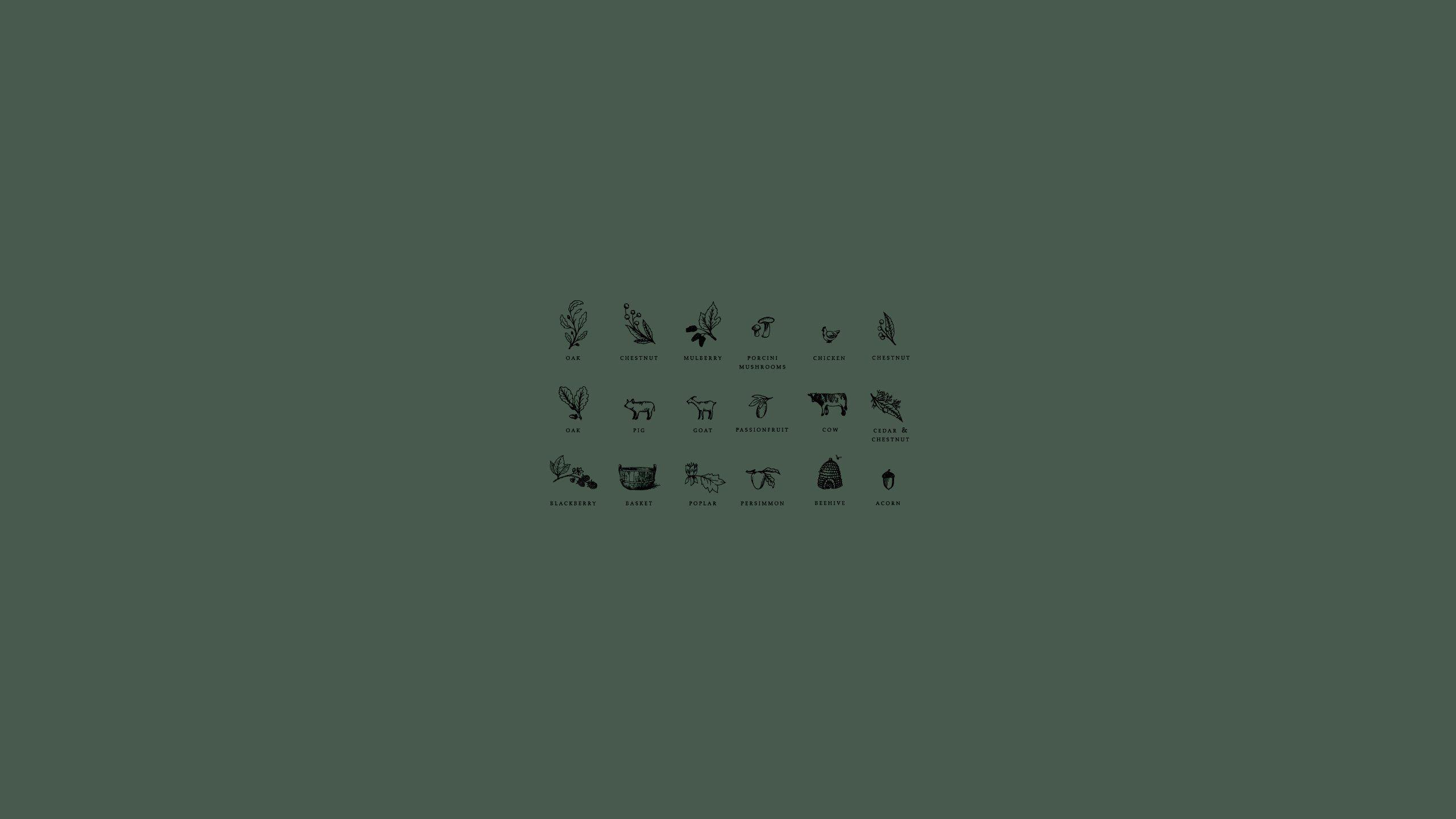 2560x1440 illustration, Farm, Icon, Green background, Green, Acorns, Beehive, Poplar, Basket, Blackberry, Cow, Goat, Oak, Chicken Wallpaper HD / Desktop and Mobile Background