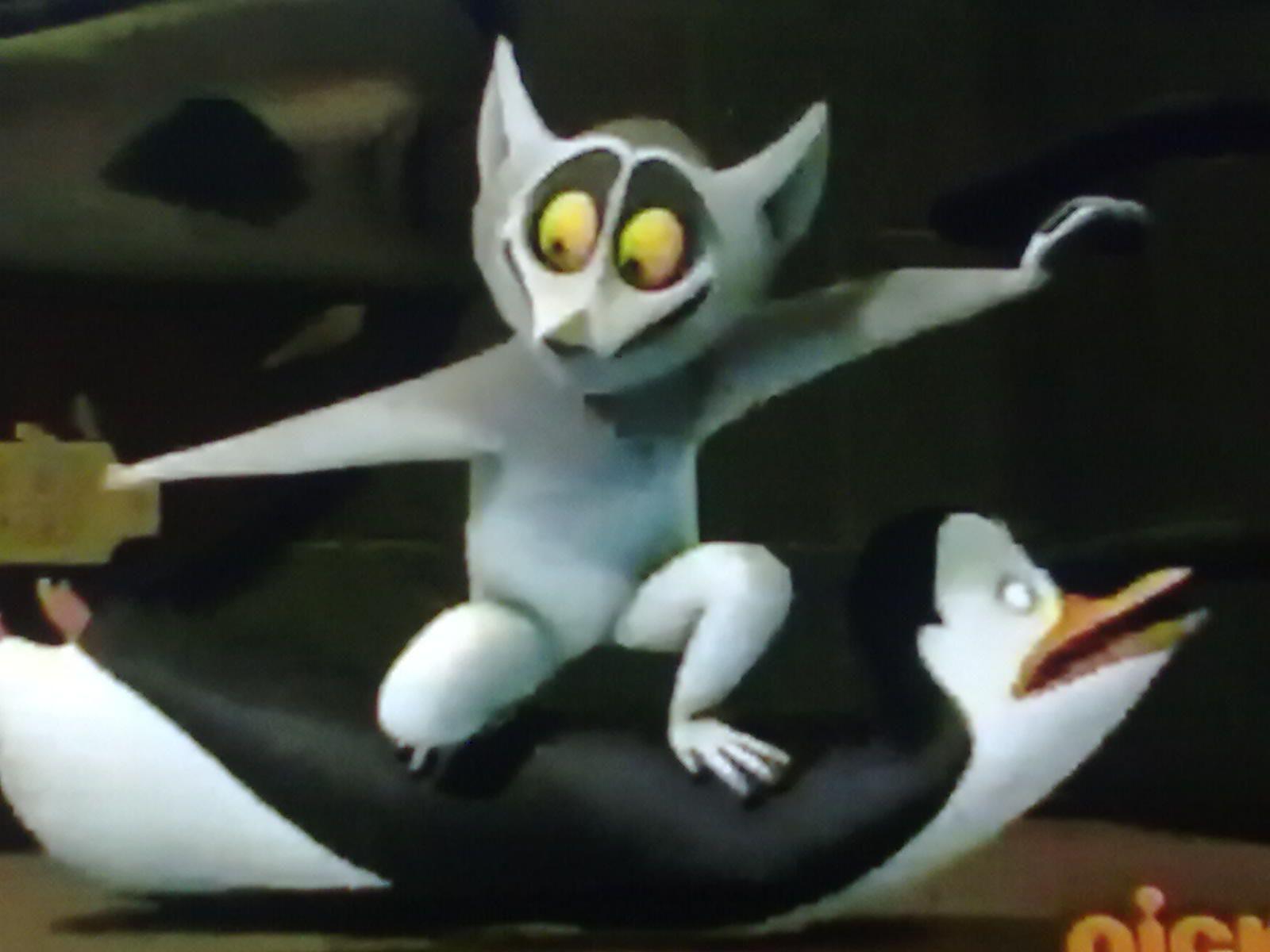 1600x1200 King Julien again on Kowalski of Madagascar Photo