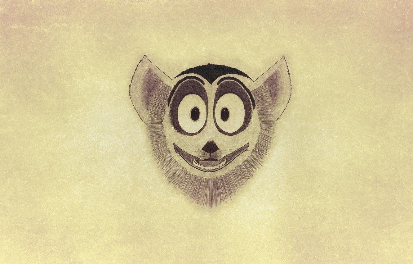 1332x850 Wallpaper Minimalism, Mordaha, Madagascar, Madagascar, A Ring Tailed Lemur, King Julian Image For Desktop, Section минимализм