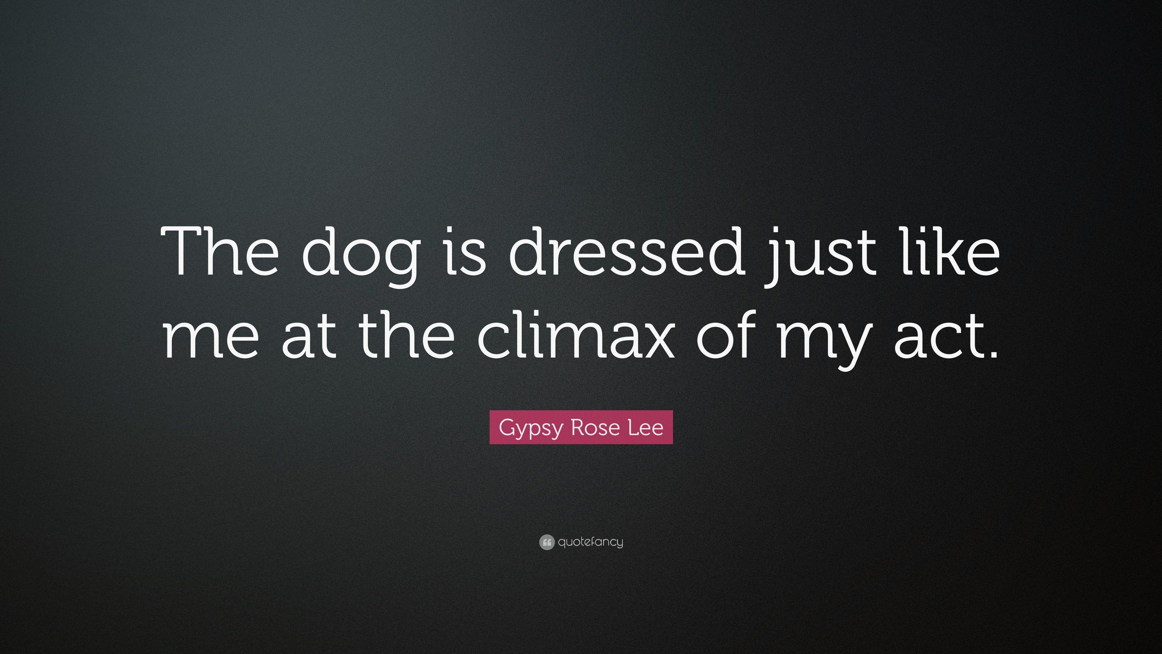 3840x2160 Gypsy Rose Lee Quote: “The dog is dressed just like me at the climax of my act.” (7 wallpaper)