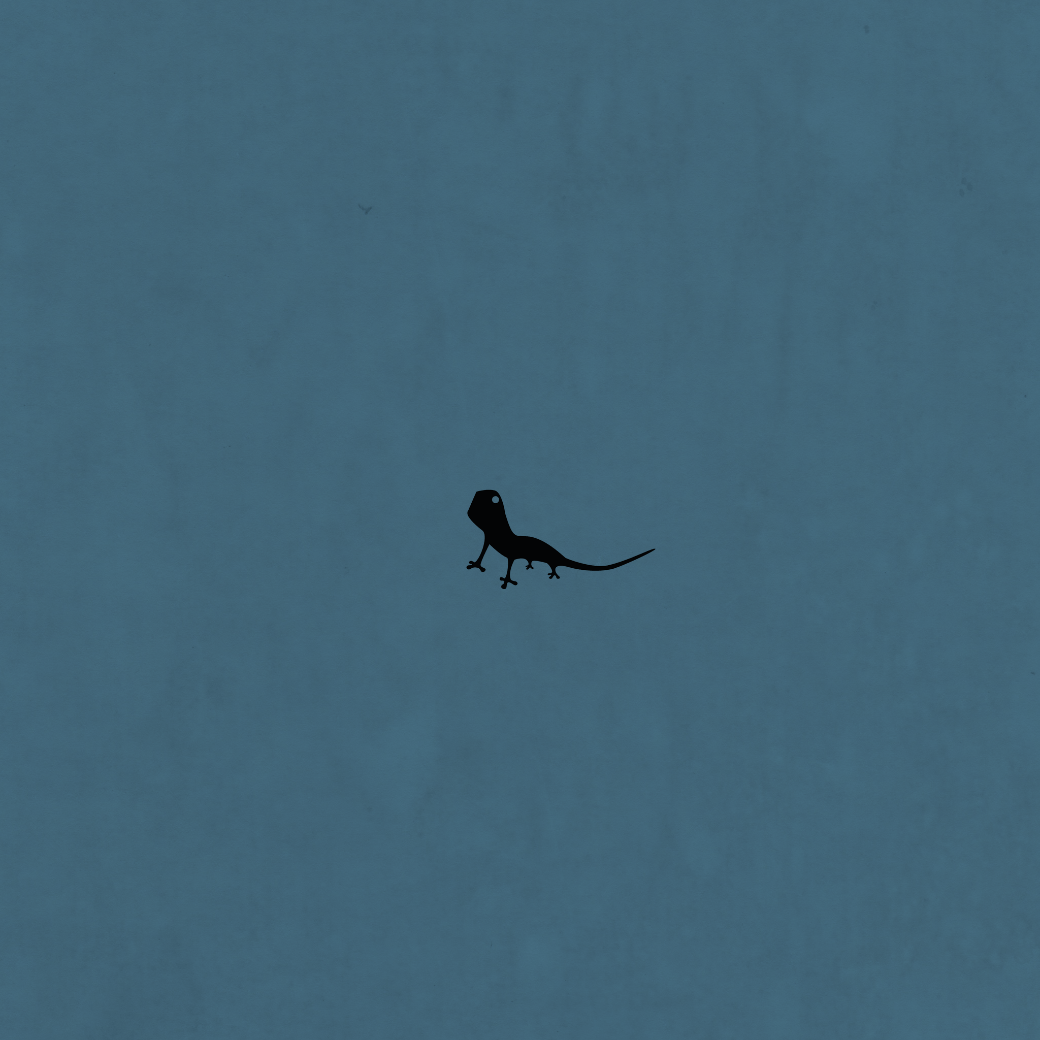 2048x2048 Some Visual Lizard iPad Wallpaper