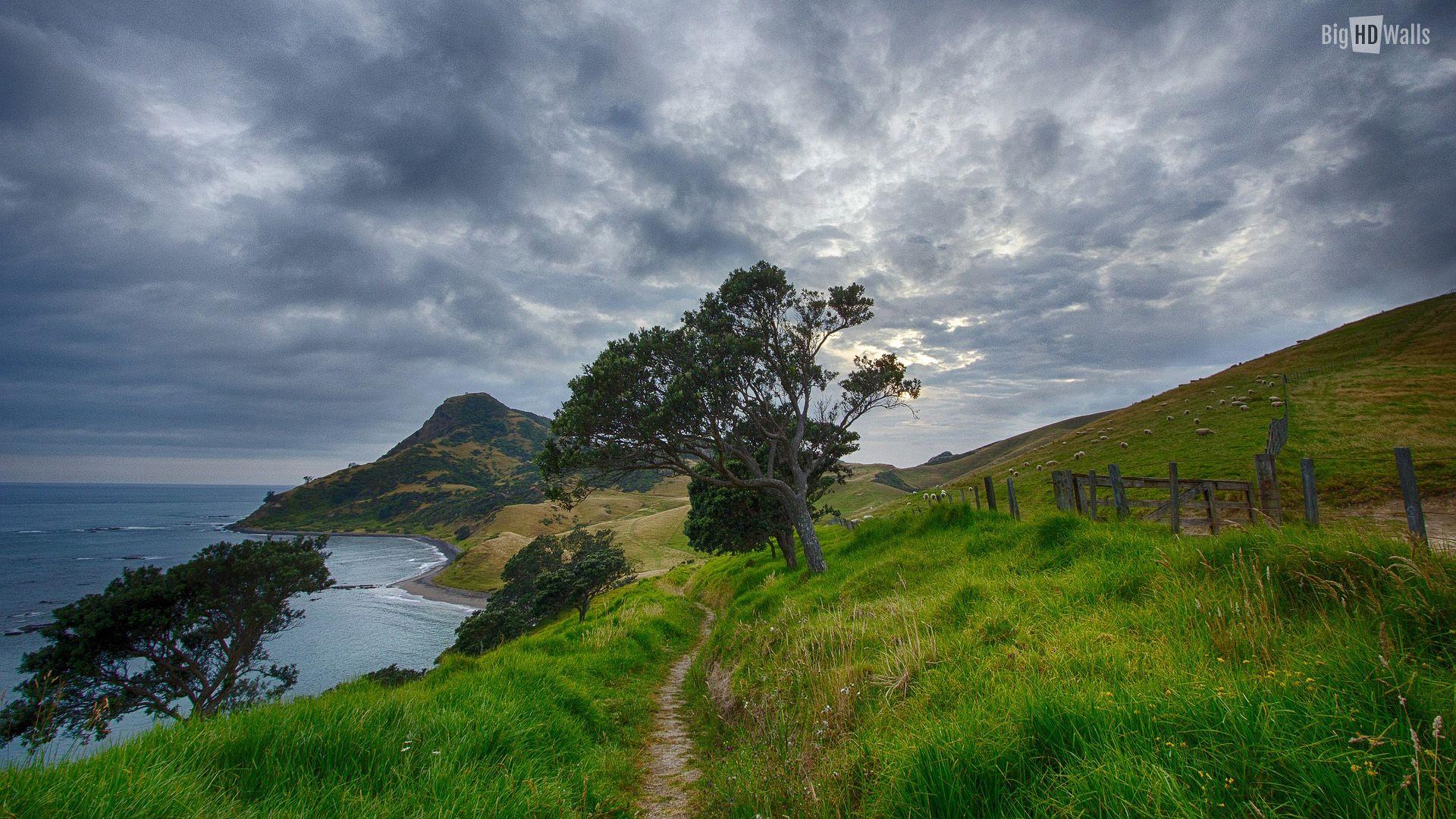 1920x1080 Amazing landscape of New Zealand