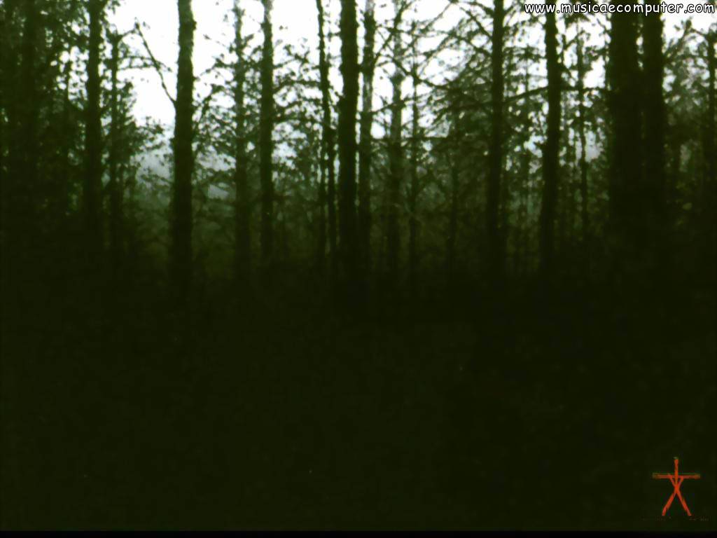 1024x768 The Blair Witch Project Wallpaper. Smash Bros Project M Wallpaper, Project as He Superb Wallpaper and LOL Project Wallpaper