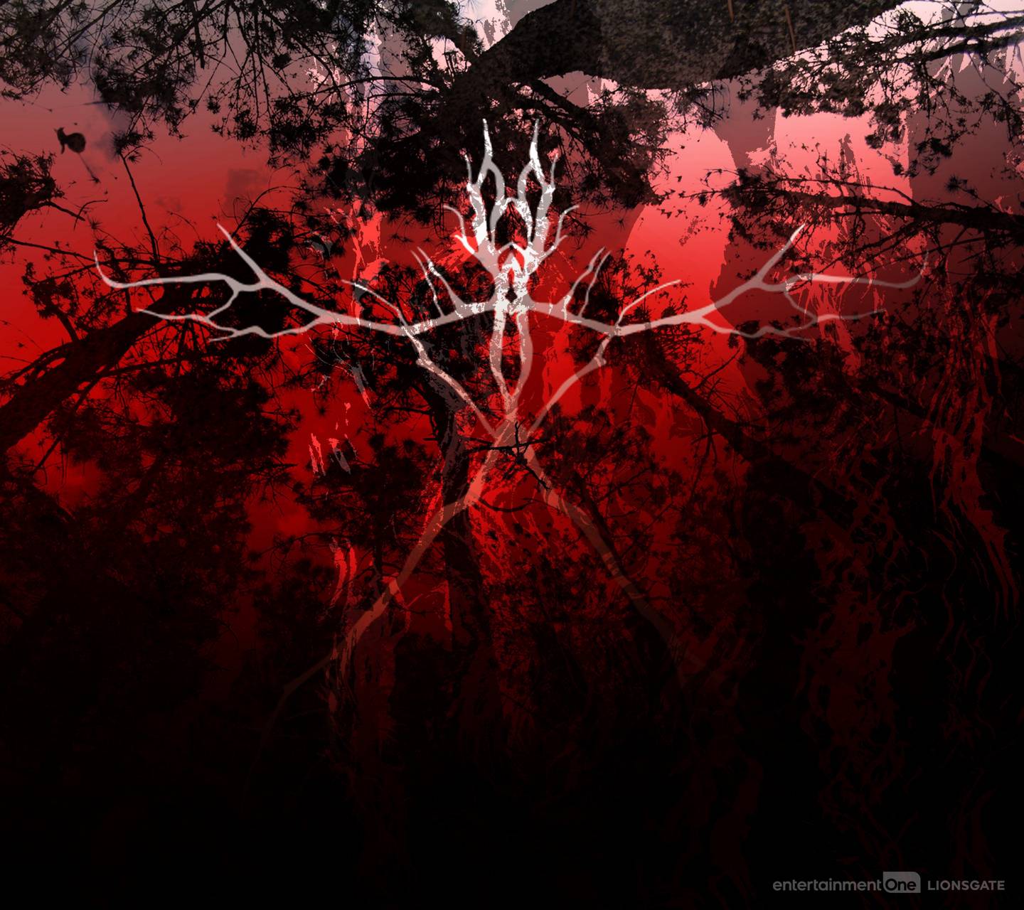 1440x1280 Blair Witch Trapped wallpaper