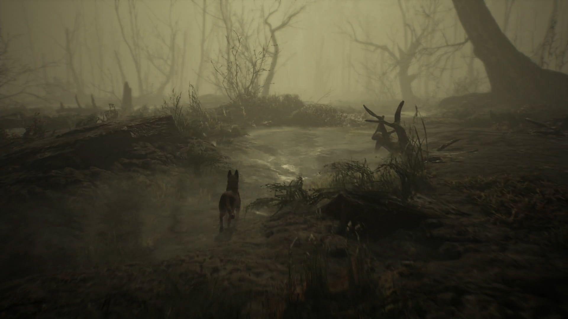 1920x1080 Blair Witch Game Hands On Preview: Delivering On The Movie's Dread