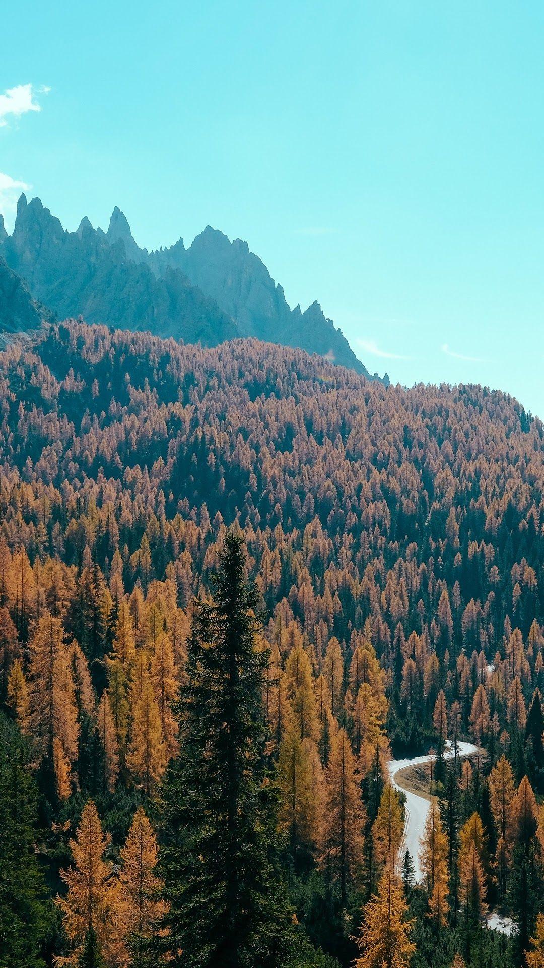 1080x1920 Forest Autumn Mountain Forest 8K Wallpaper