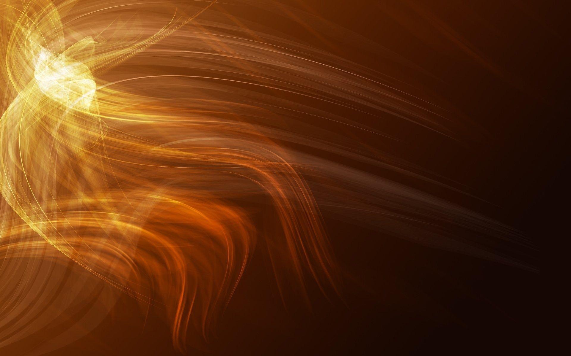 1920x1200 hd phoenix bird photo