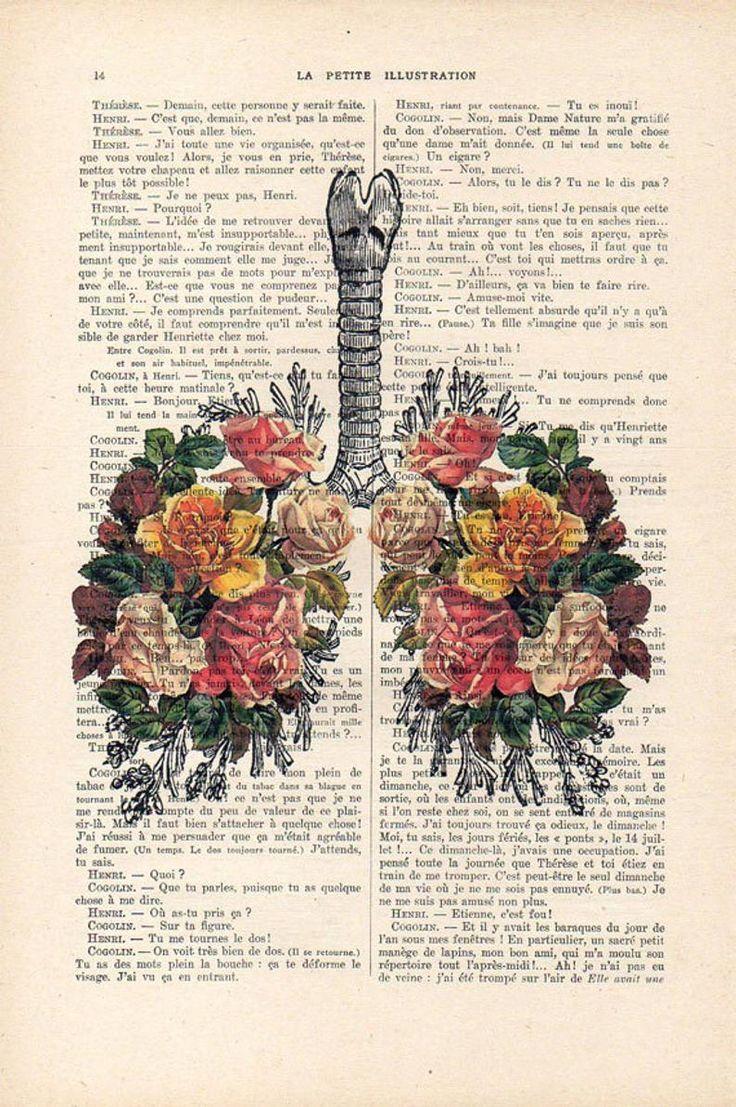 736x1107 Aesthetic Wallpaper. Human anatomy art, Art deco tattoo, Anatomy art