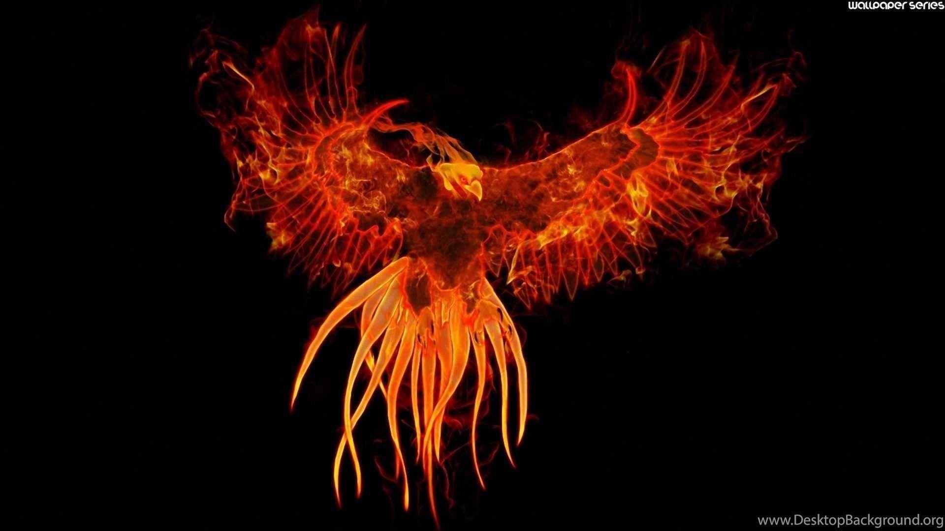 1920x1080 Phoenix Bird Cool Wallpaper HC11 WALLEO.CO WALLEO.CO Desktop