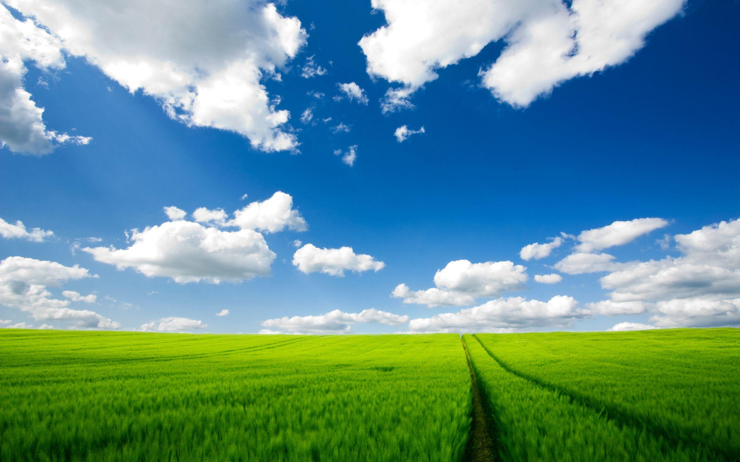 2560x1600 Summer field Wallpaper Photo Manipulated Nature Wallpaper in jpg
