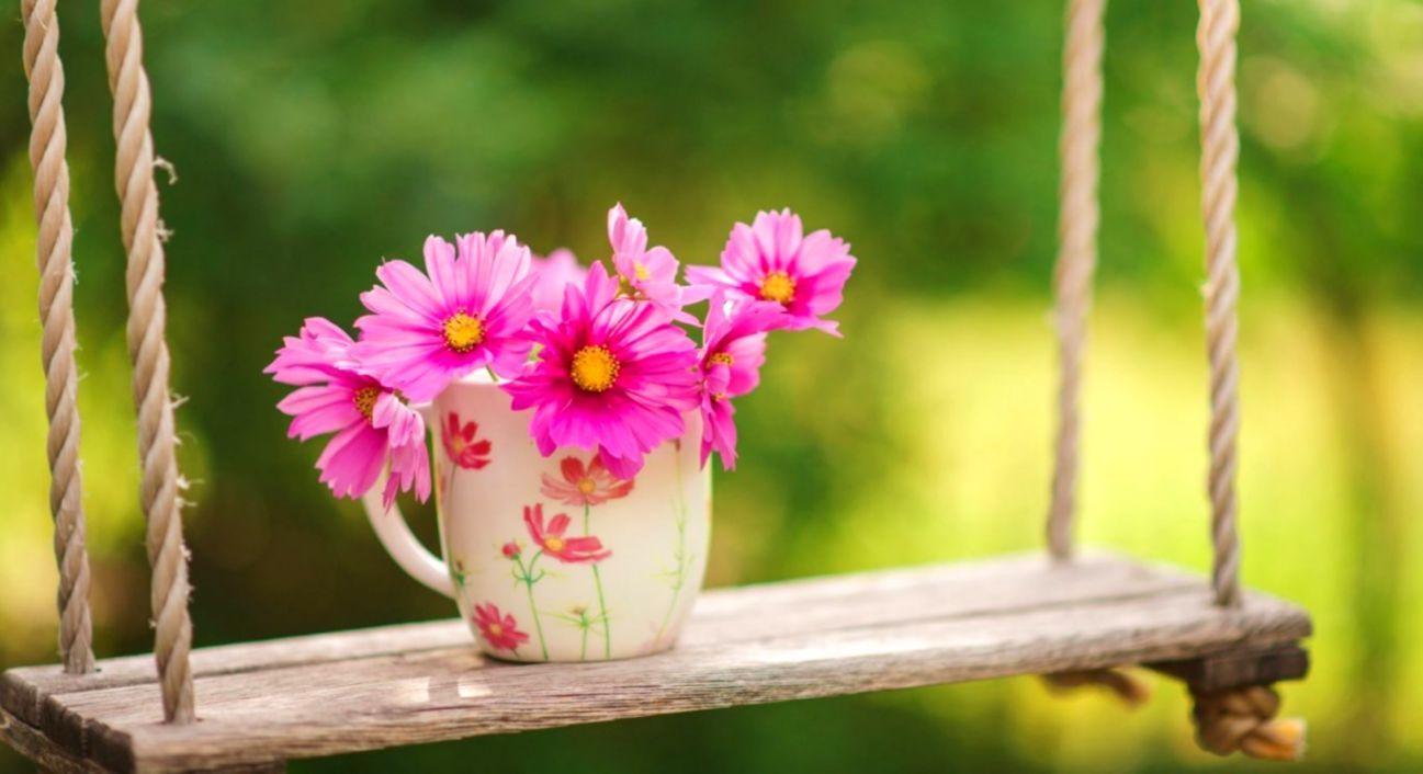 1297x706 Spring Flowers Desktop Wallpaper Theme