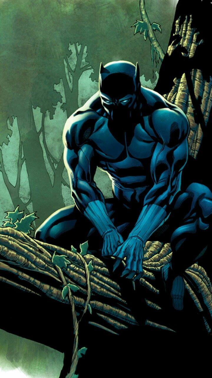 720x1280 Black Panther Wallpaper Android App Super Hero Apps Panther Comic Book Art Wallpaper & Background Download