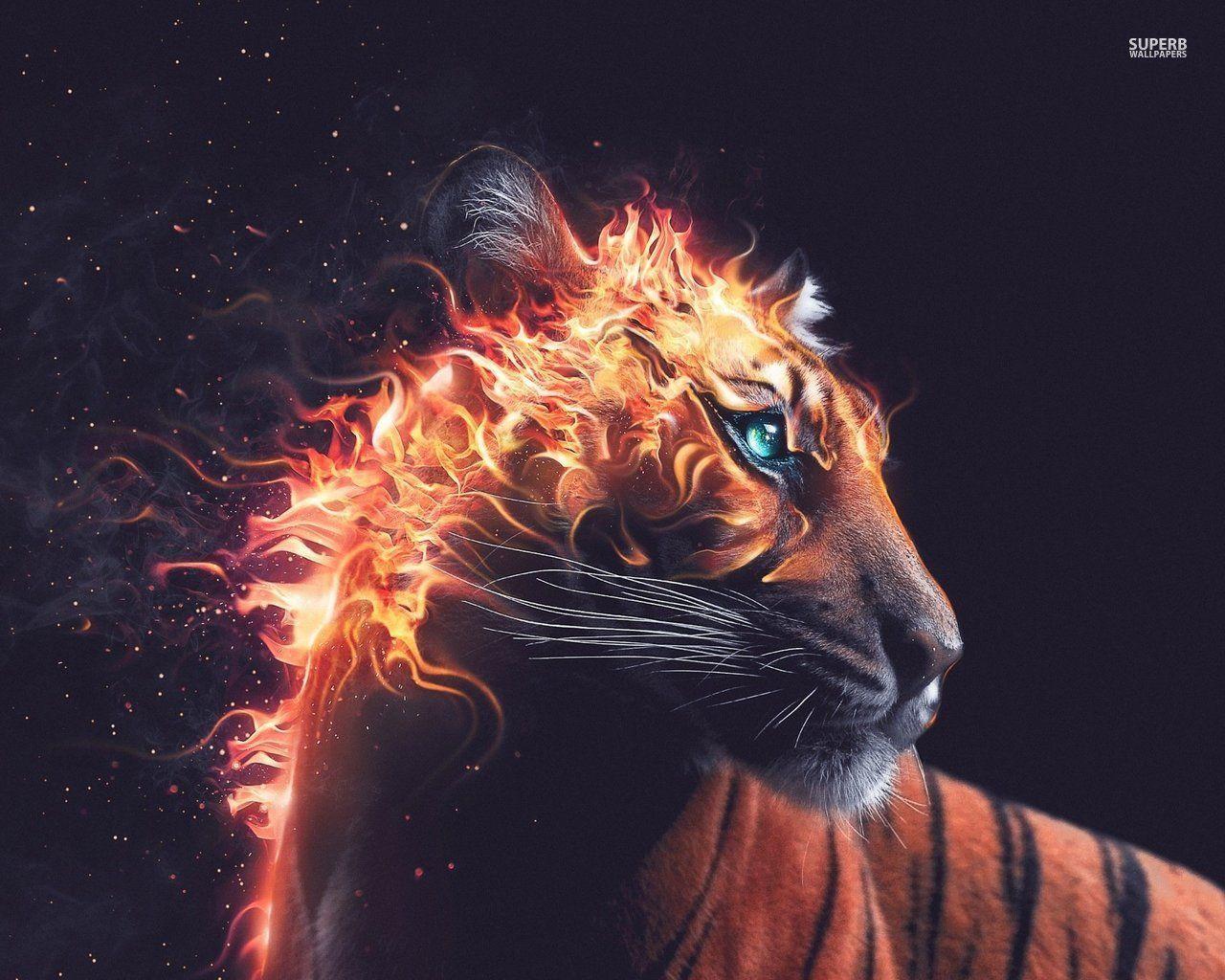 HD wallpaper tiger fire head  Wallpaper Flare