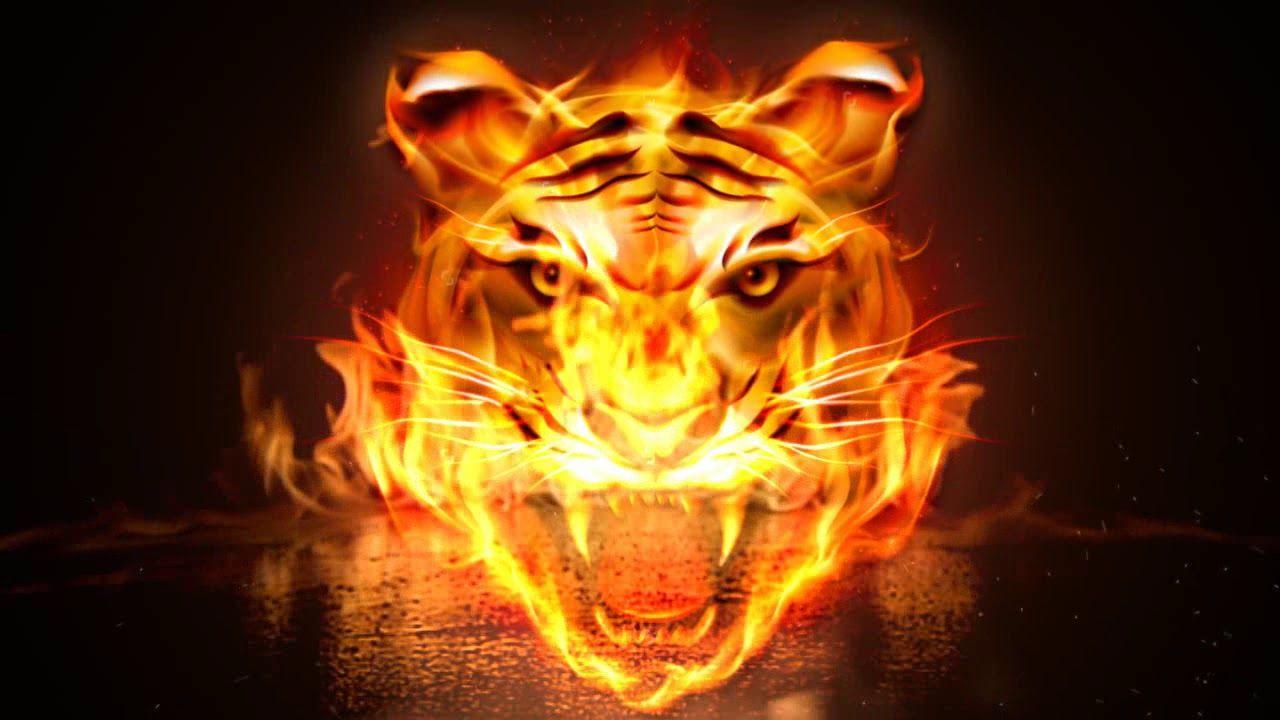 Flaming Tiger Wallpapers - Top Free Flaming Tiger Backgrounds ...