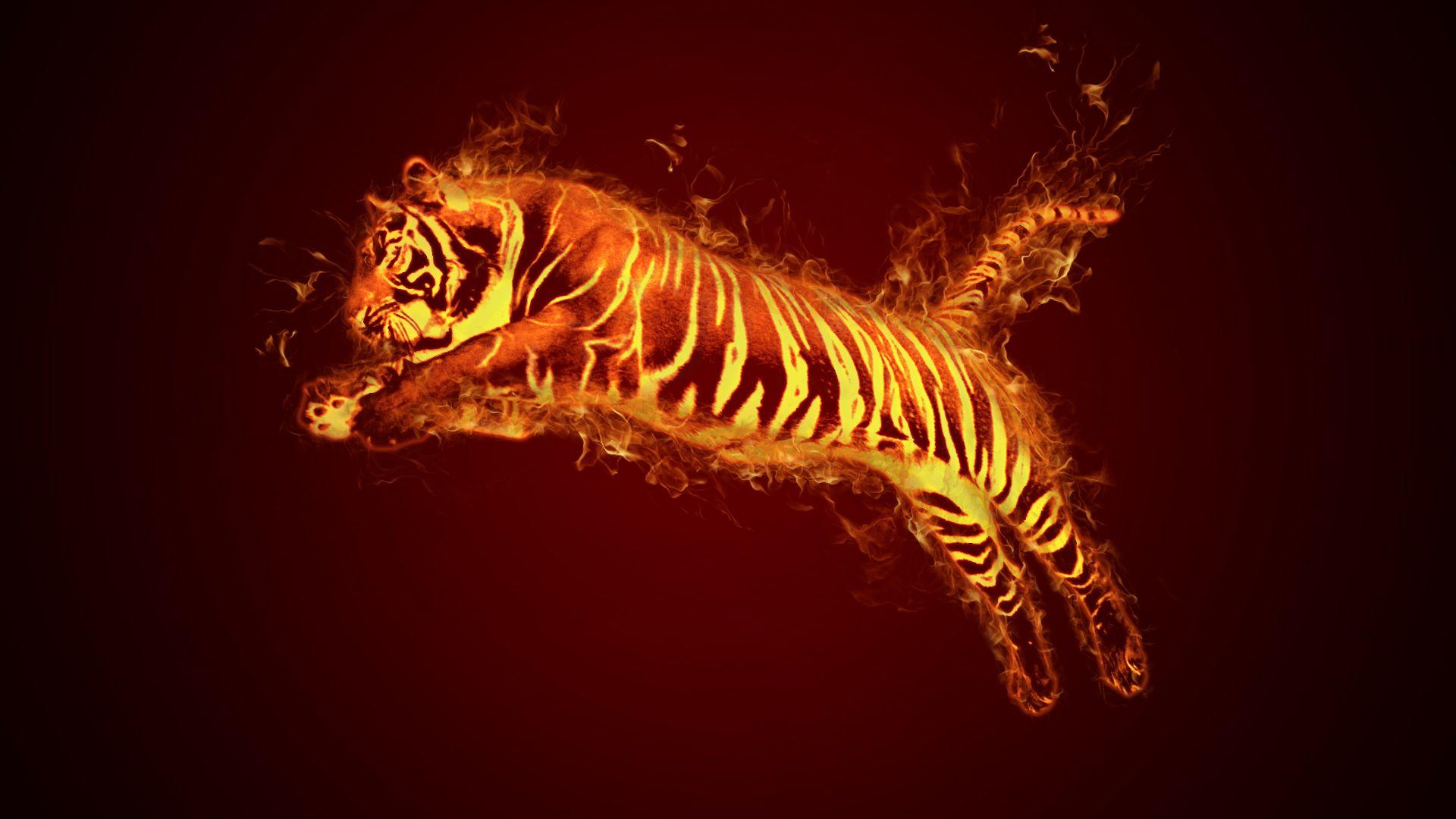 Flaming Tiger Wallpapers - Top Free Flaming Tiger Backgrounds