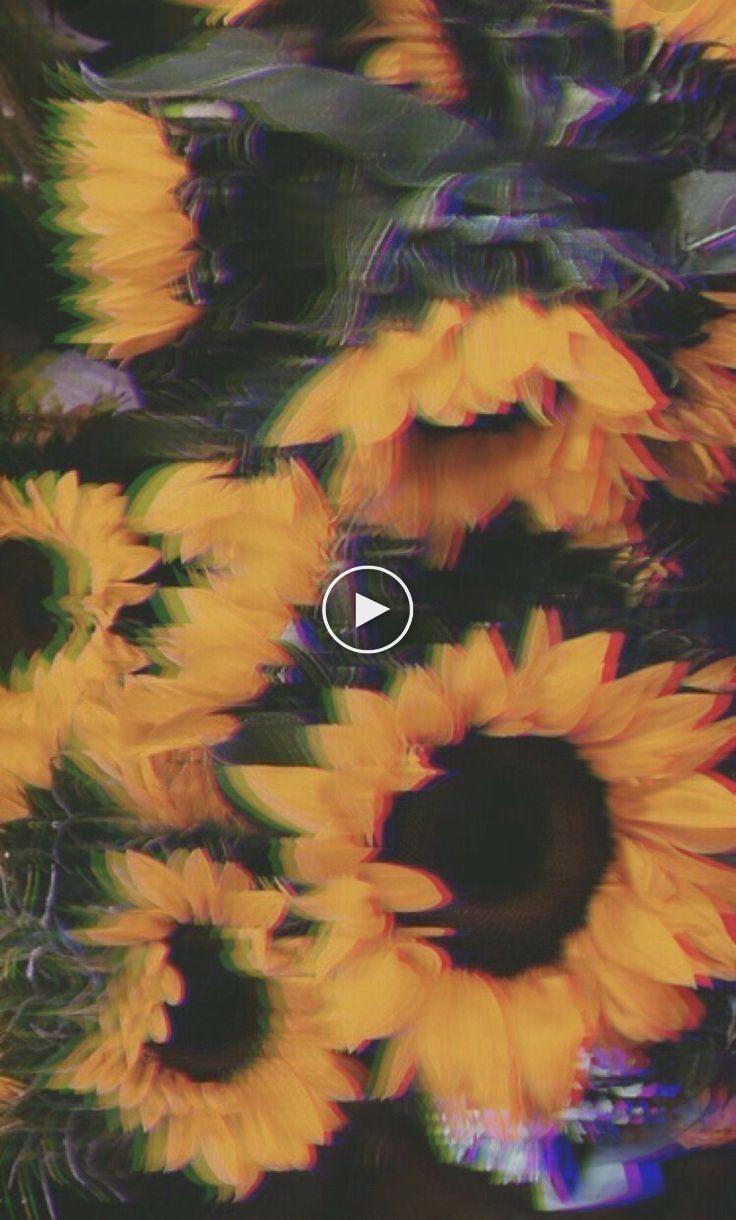 736x1220 wallpaper # - # # - - Summer wallpaper, Tumblr wallpaper, Tumblr iphone wallpaper