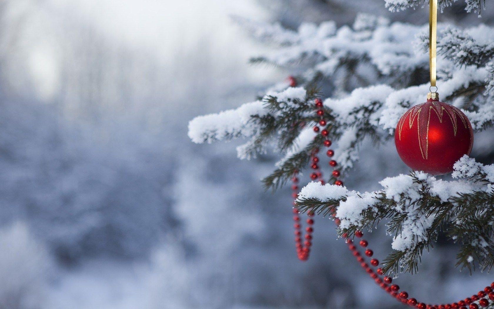 Giáng sinh và tuyết rơi, liệu có gì tuyệt vời hơn? Hãy chiêm ngưỡng bức hình nền desktop Giáng sinh đầy tuyết và cho bản thân một không gian ấm áp và đầy cảm xúc trong mùa lễ hội này.