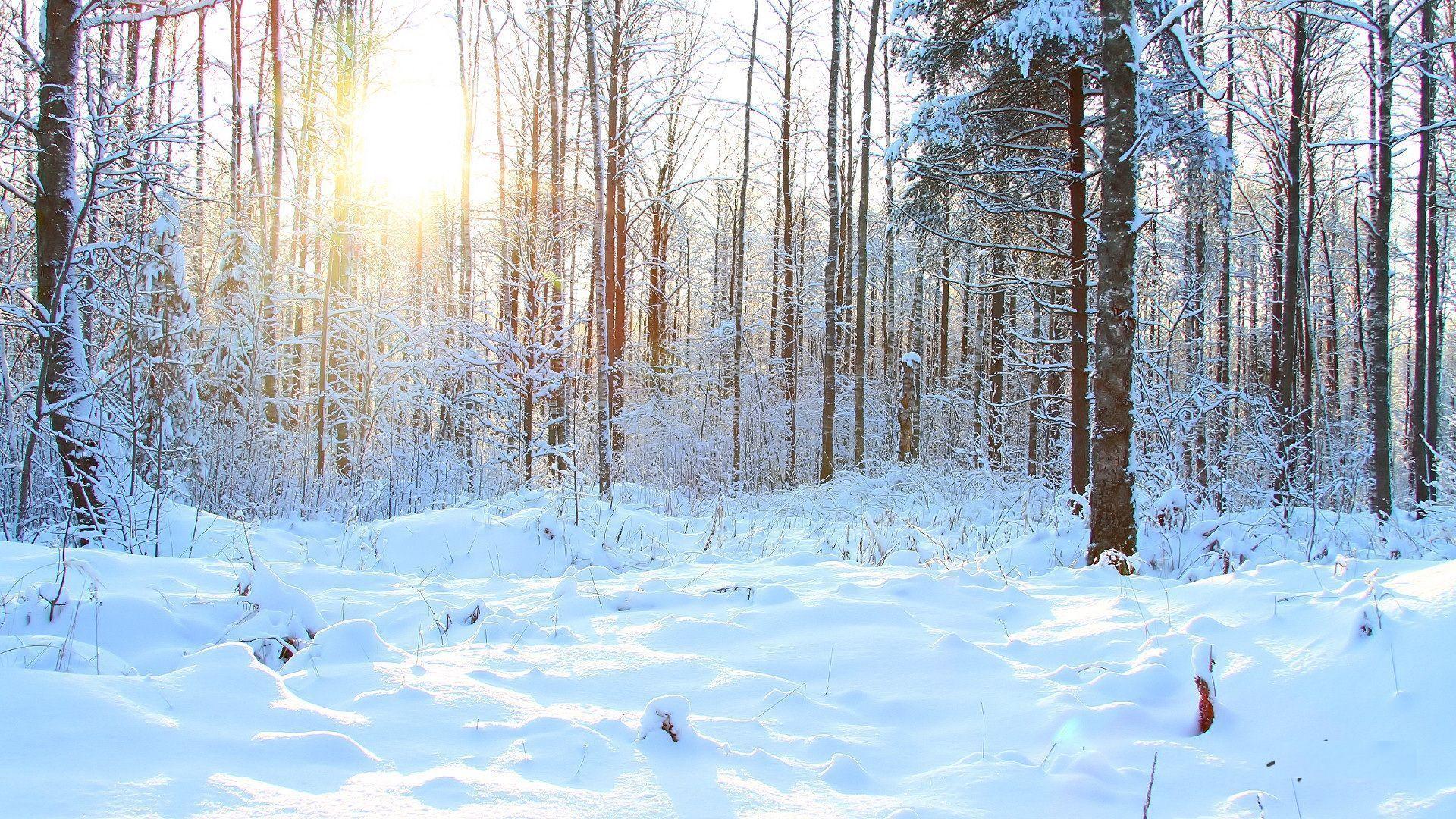 1920x1080 Winter Desktop Wallpaper Free Gallery (89 Plus) PIC WPW507820
