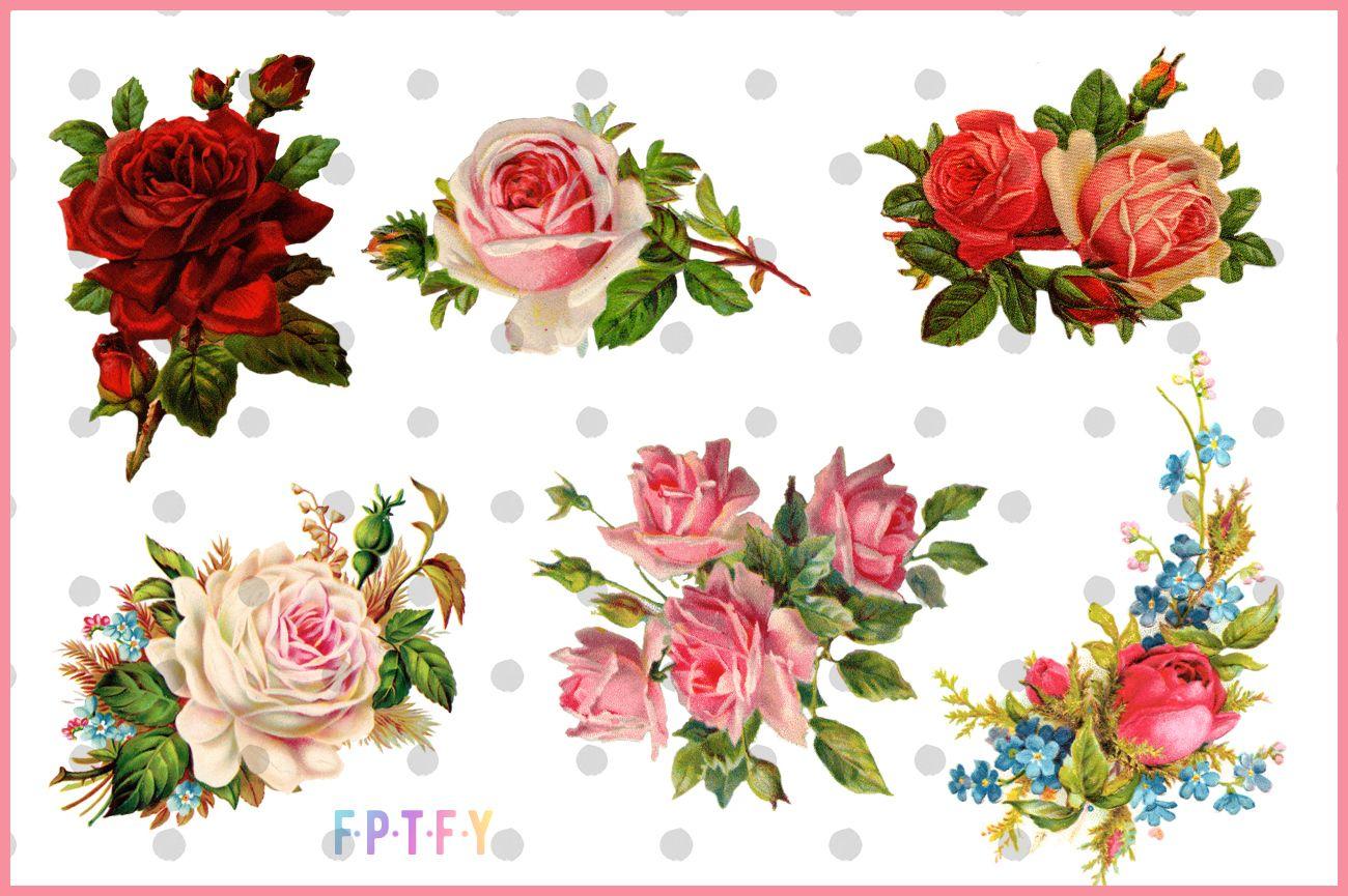 1300x865 Free Vintage Rose Image Pretty Things For You