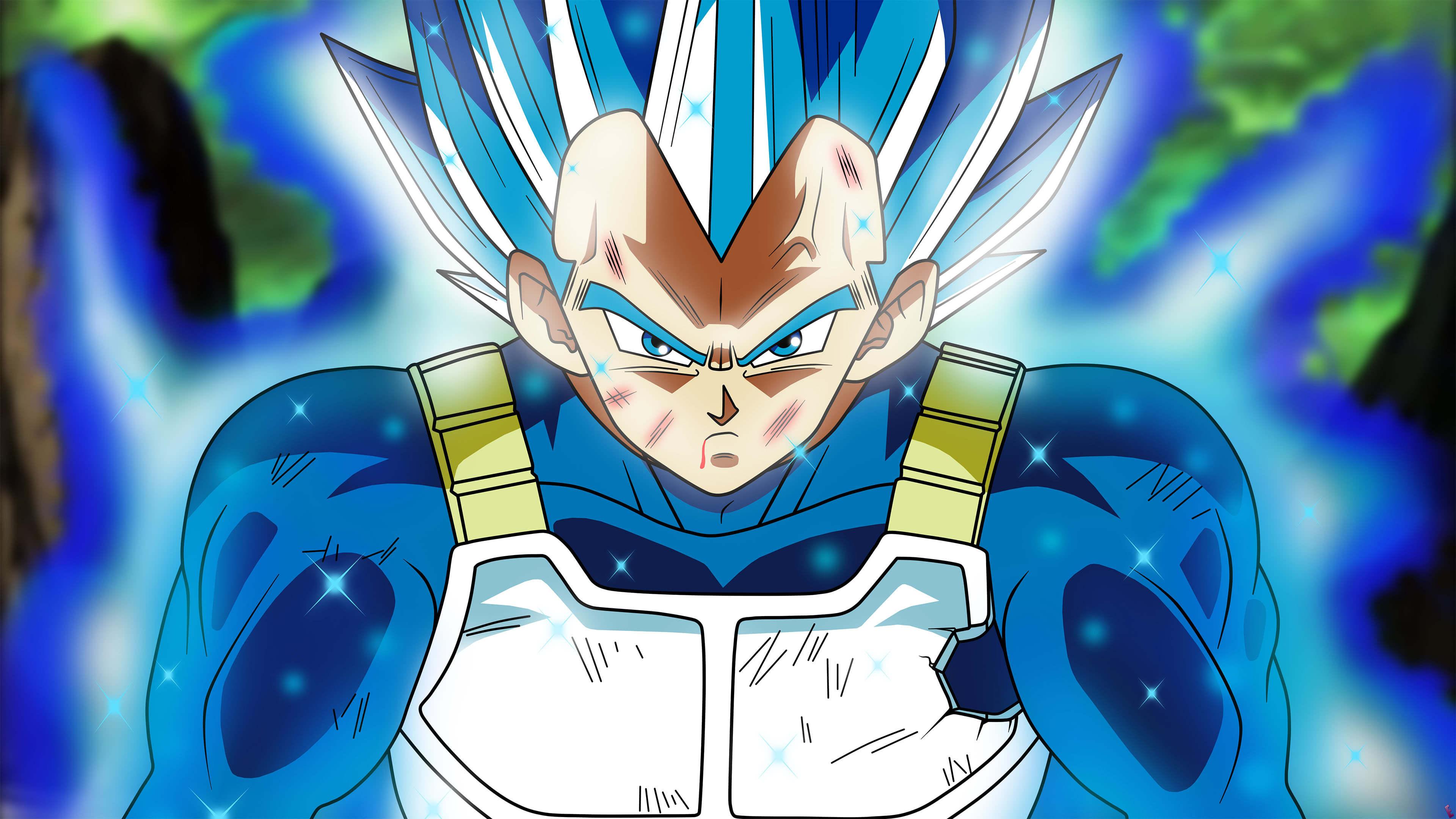 3840x2160 Dragon Ball Perfected Super Saiyan Blue Vegeta Uhd Ssj Blue Evolution