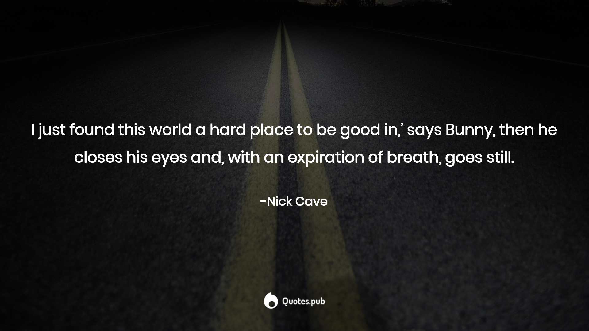 1920x1080 The Death of Bunny Munro Quotes & Sayings with Wallpaper & Posters