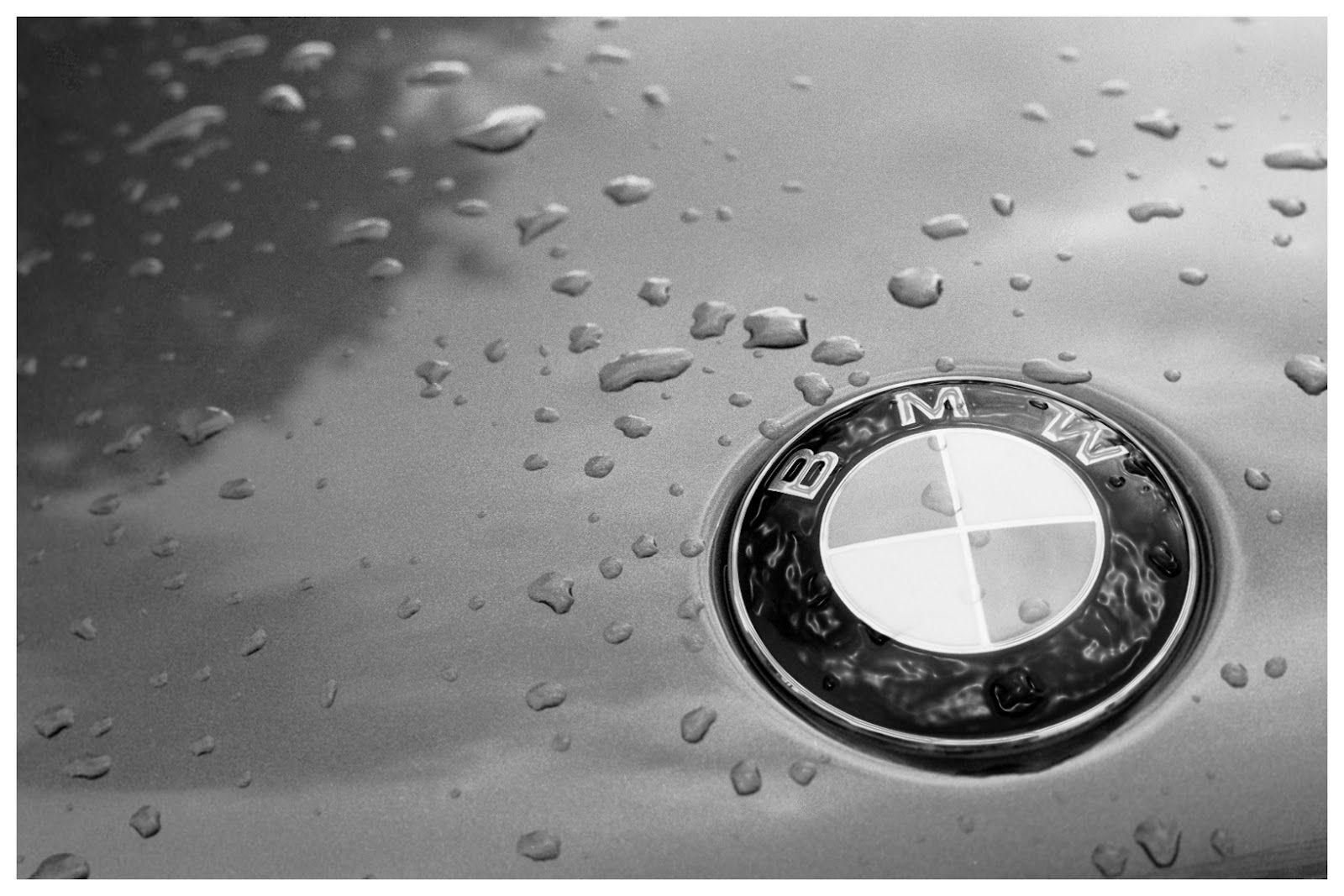 1600x1067 BMW Logo HD Wallpaper