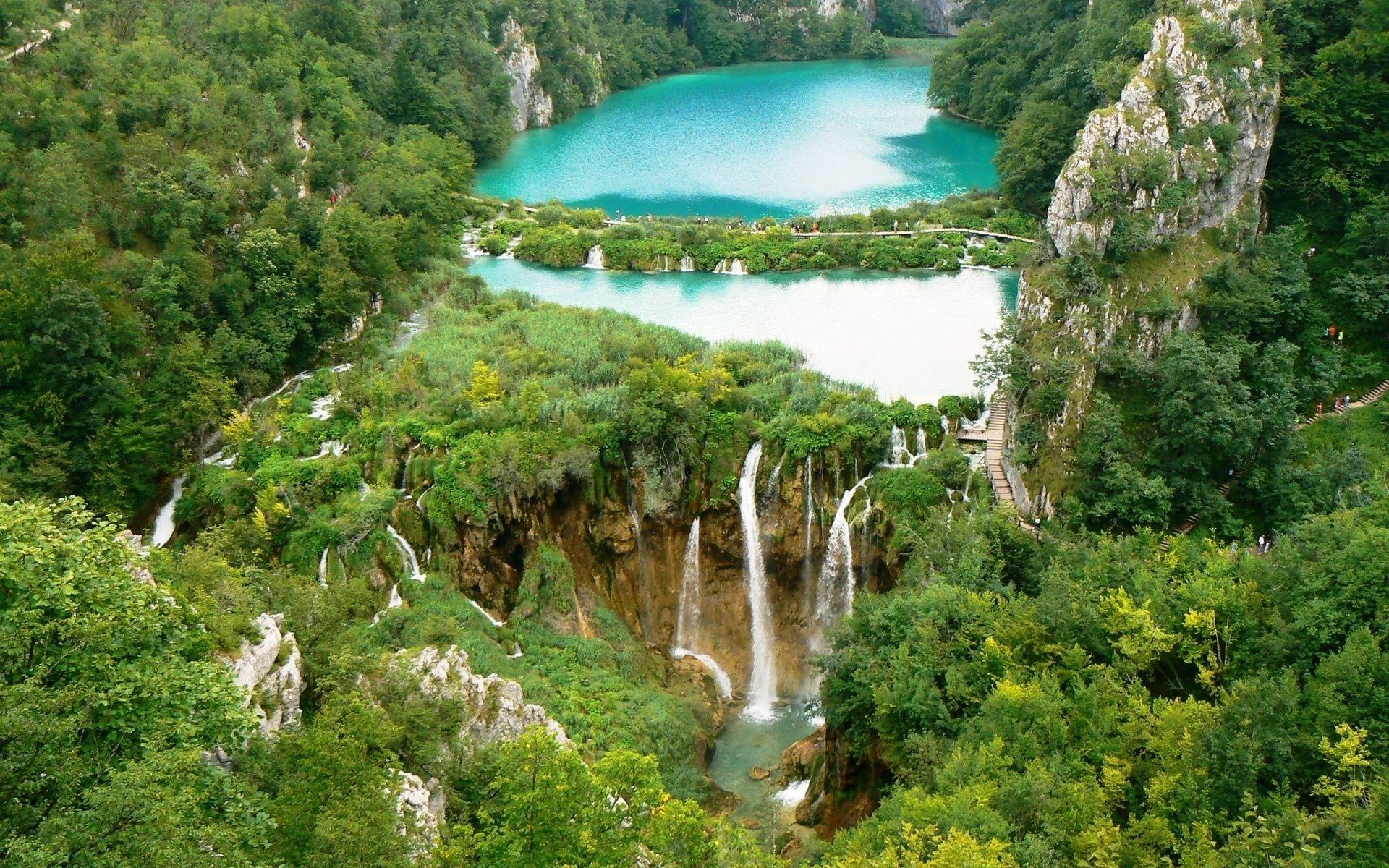 1920x1200 Trees forest jungle landscapes wallpaperx1200