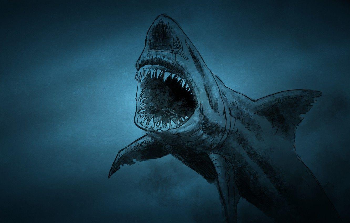 1332x850 Wallpaper fish, shark, shark, fish, toothy, dark background image for desktop, section живопись