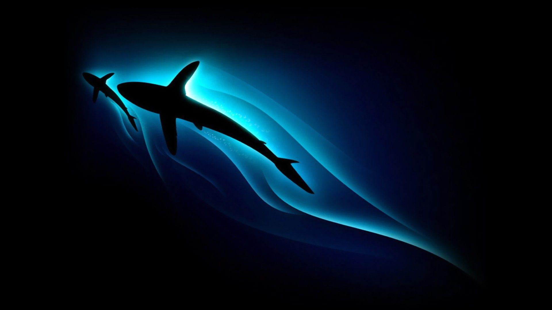1920x1080 Shark Abstract Unique Nature Desktop Wallpaper Download HD Black Fish HD Wallpaper