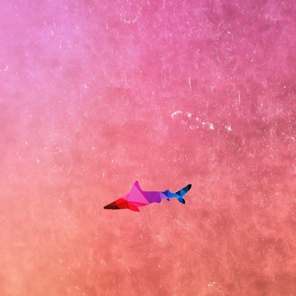 Pink Shark Wallpapers - Top Free Pink Shark Backgrounds - WallpaperAccess