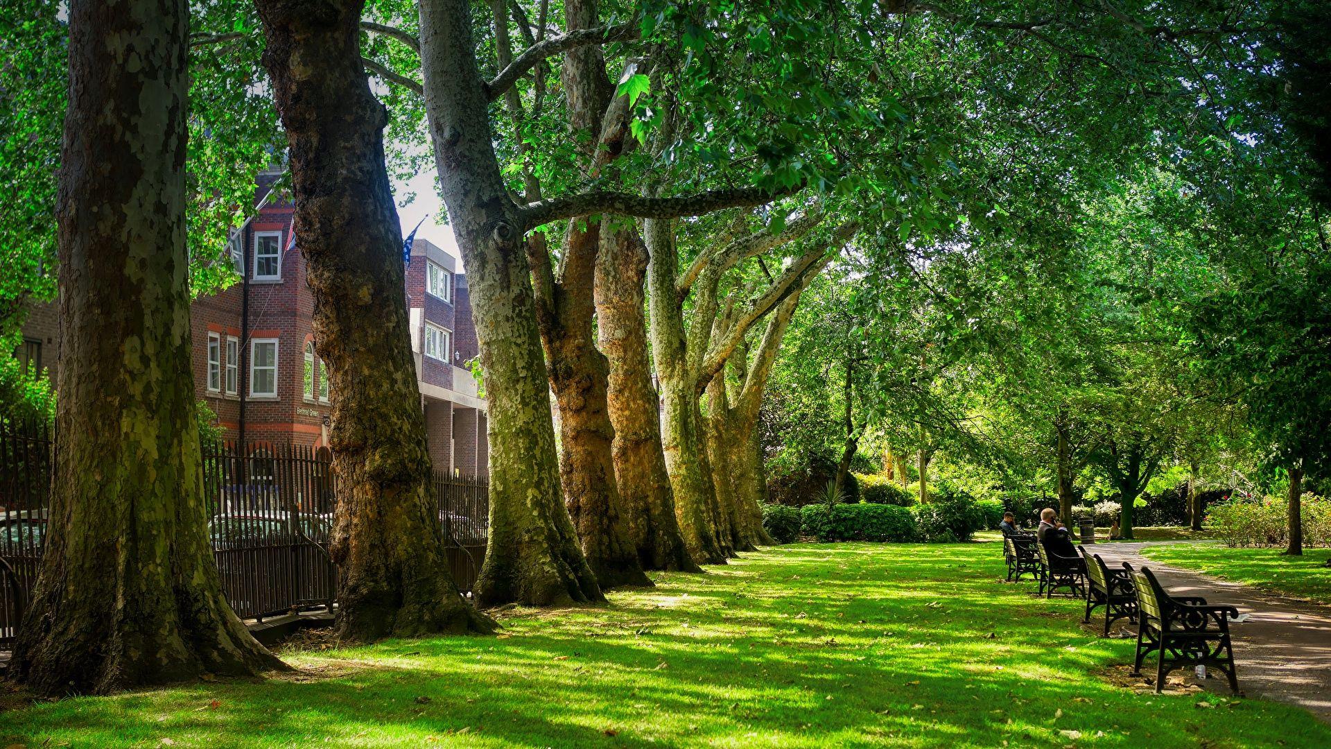 London Summer Wallpapers Top Free London Summer Backgrounds