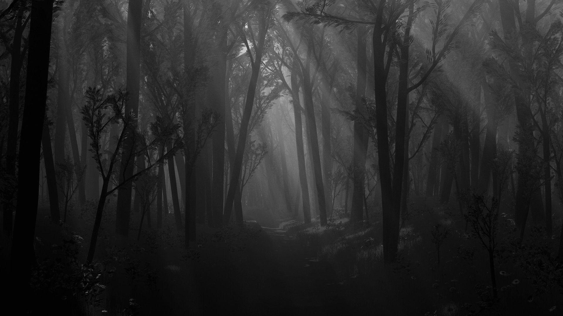 1920x1080 Dark Forest Wallpaper 1920x1080