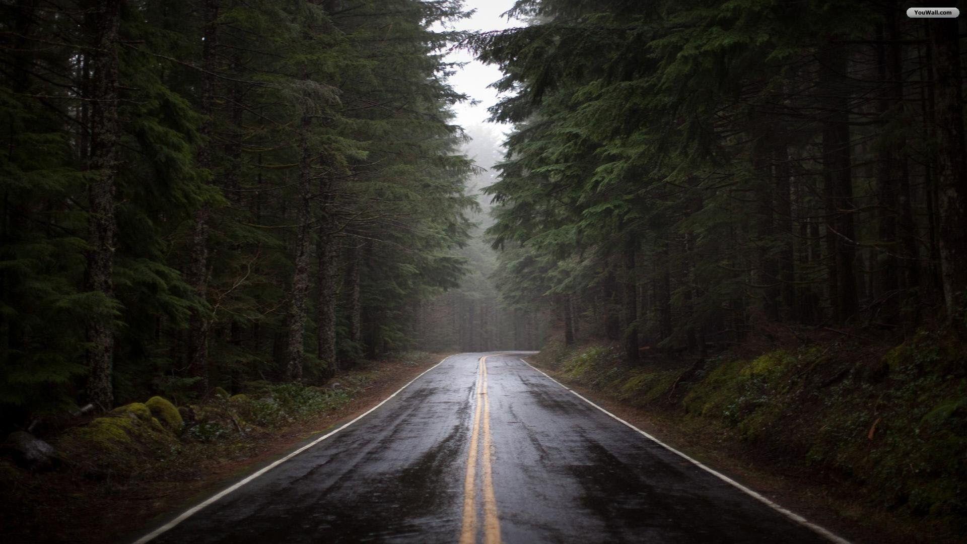 1920x1080 Dark Forest Wallpaper Desktop Free Download > SubWallpaper
