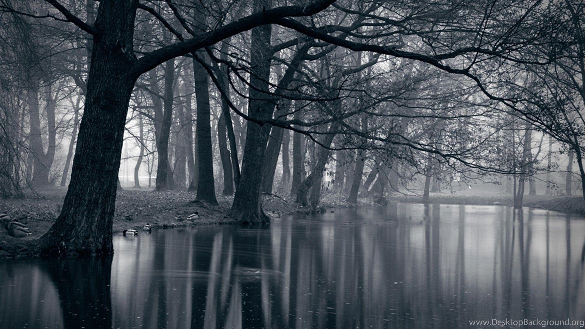 1920x1080 2897) Dark Forest Background HD Wallpaper WalOps.com Desktop Background