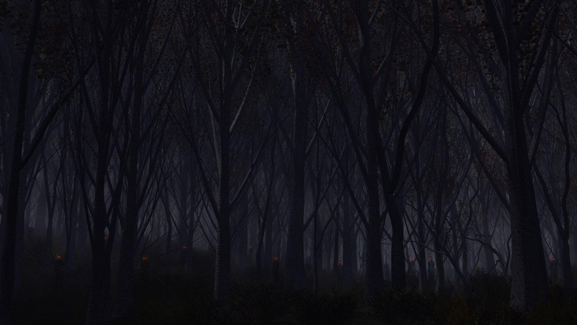 1920x1080 Forest Dark 1440P Resolution HD 4k Wallpaper, Image, Background, Photo and Picture