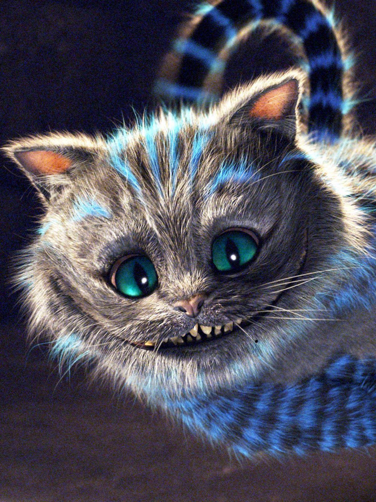 1200x1600 Cheshire Cat Phone HD Wallpaper